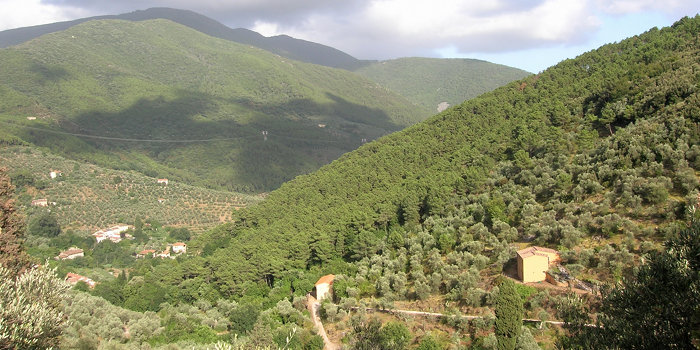 Costellazioni Familiari Sistemiche e Rituali sul Monte Castellare