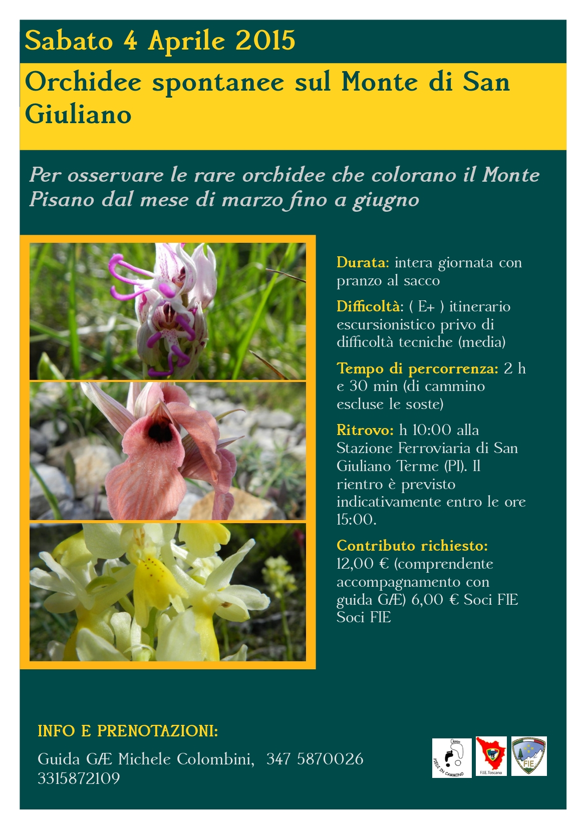 orchidee spontaneee Piedi in Cammino FIE Pisa Monte Pisano