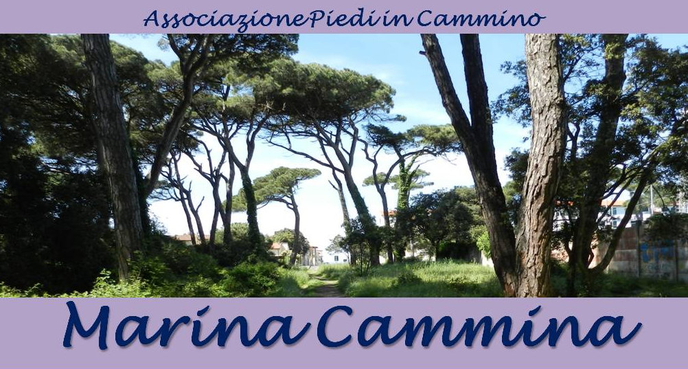 Piedi in Cammino FIE Pisa - Marina Cammina - Pineta Marina di Pisa