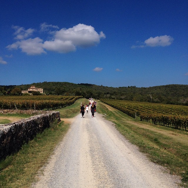 cammino Via Francigena Toscana piedi in cammino FIE Pisa