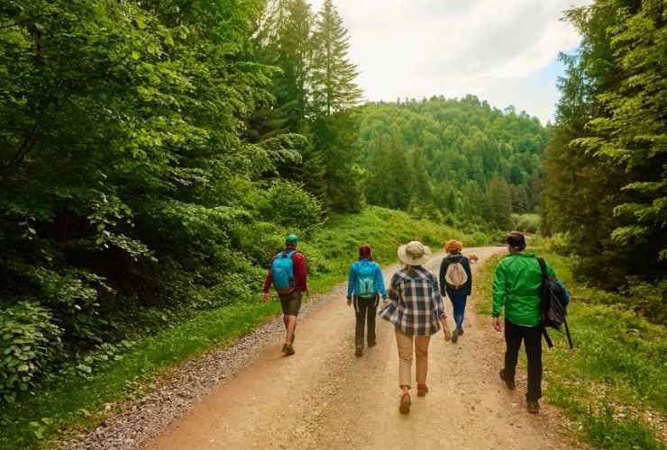 gruppo di amici che camminano tra la natura