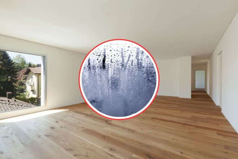 Umidità e parquet: gli esperti hanno fatto questa recente scoperta