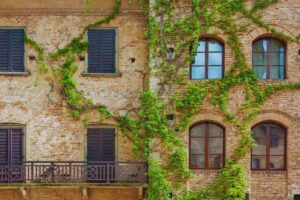 L'esterno di un edificio con l'edera